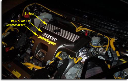 96-03 Bonneville SSEI Engine Cover Overlay Decals