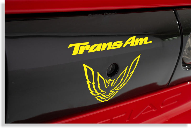 Rear Panel Overlay Decals - 93-02 Trans Am
