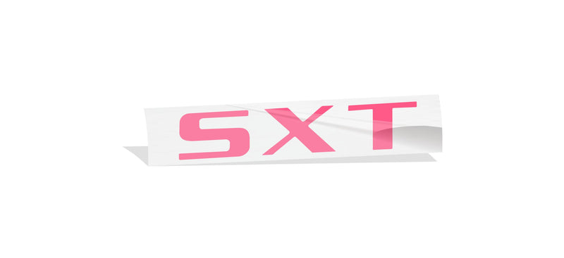 SXT Trunk Emblem Overlay Decal  - Dodge Charger SXT