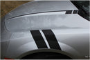 3D Carbon Fiber Hash Marks and Hood Stripes