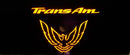 Rear Panel Overlay Decals - 93-02 Trans Am